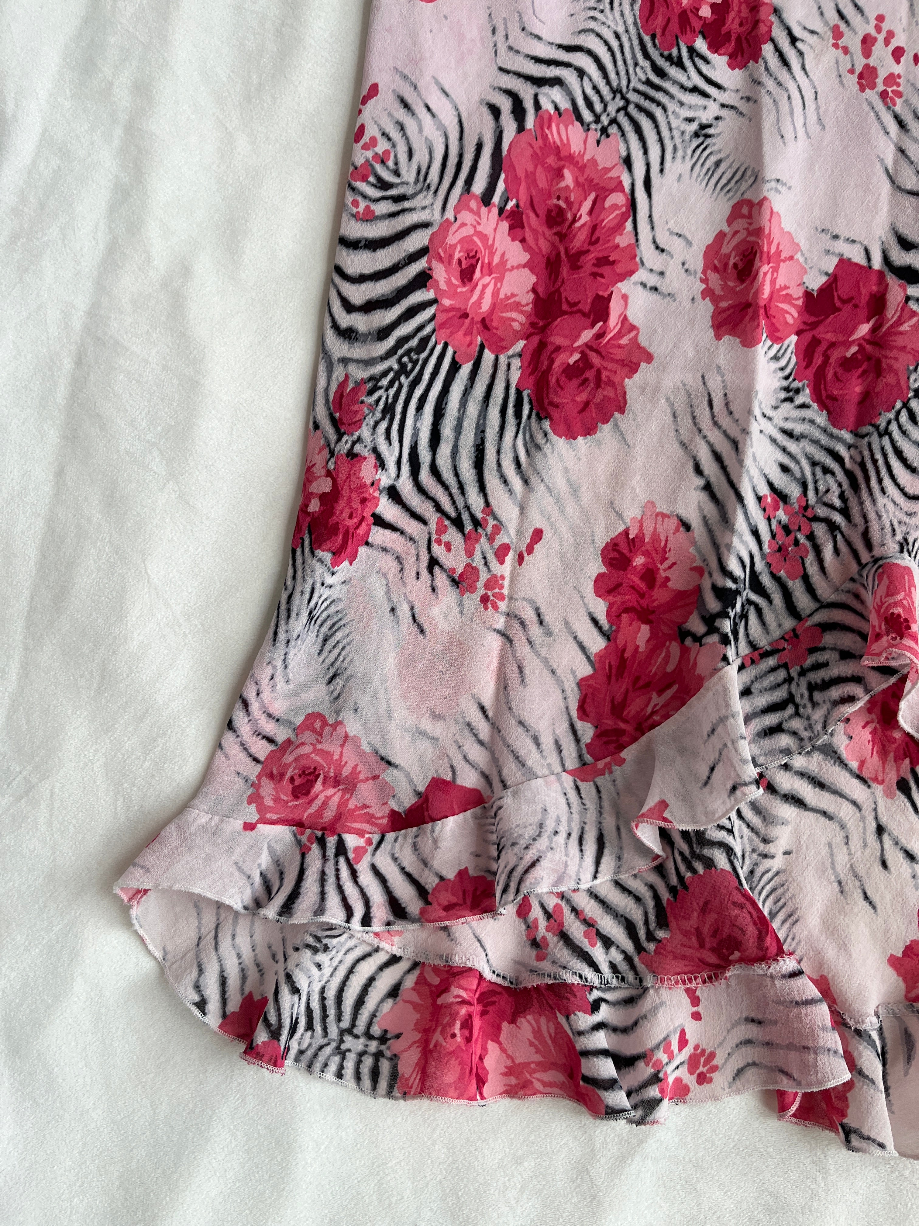 zebra bloom
