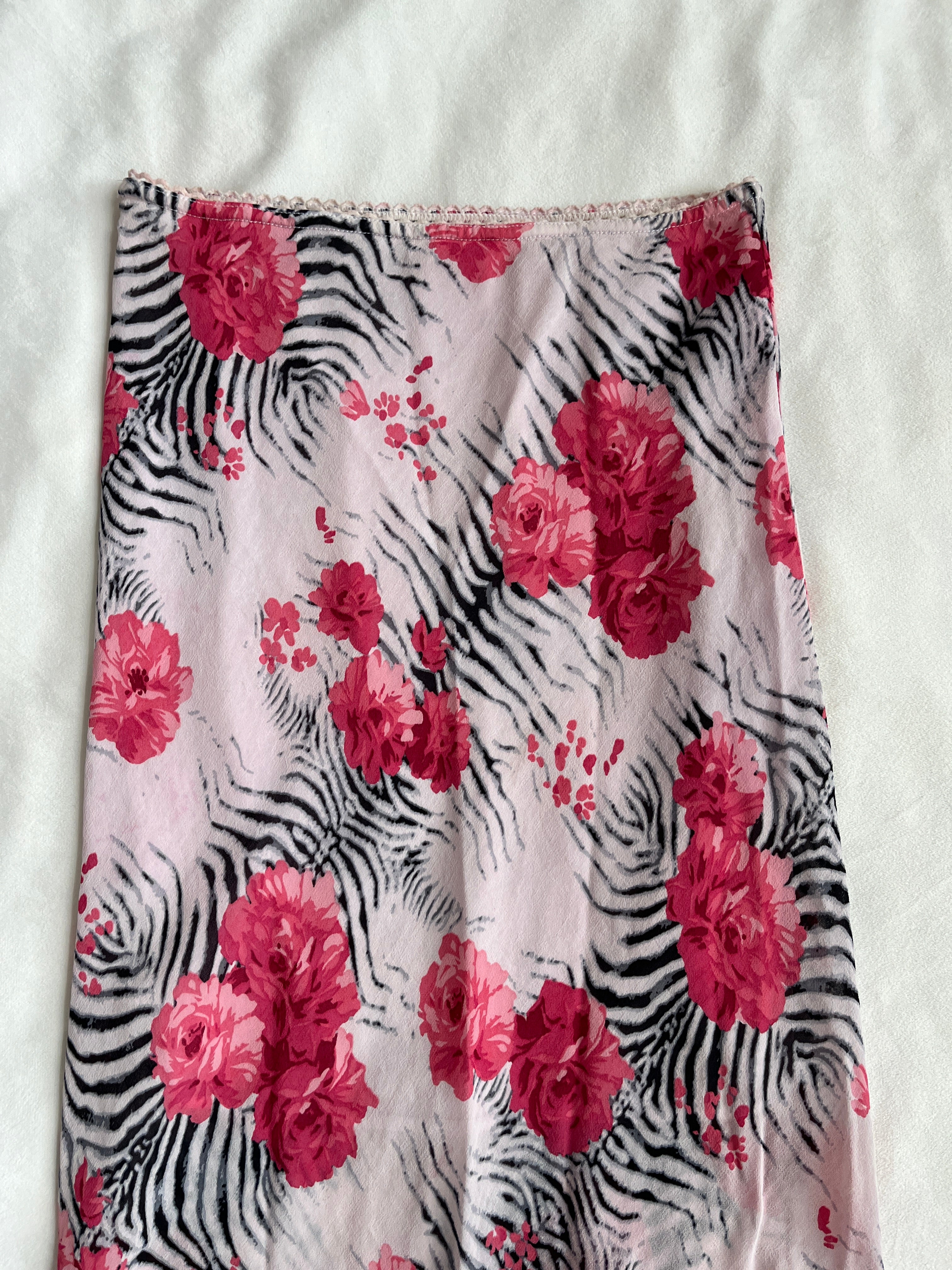zebra bloom